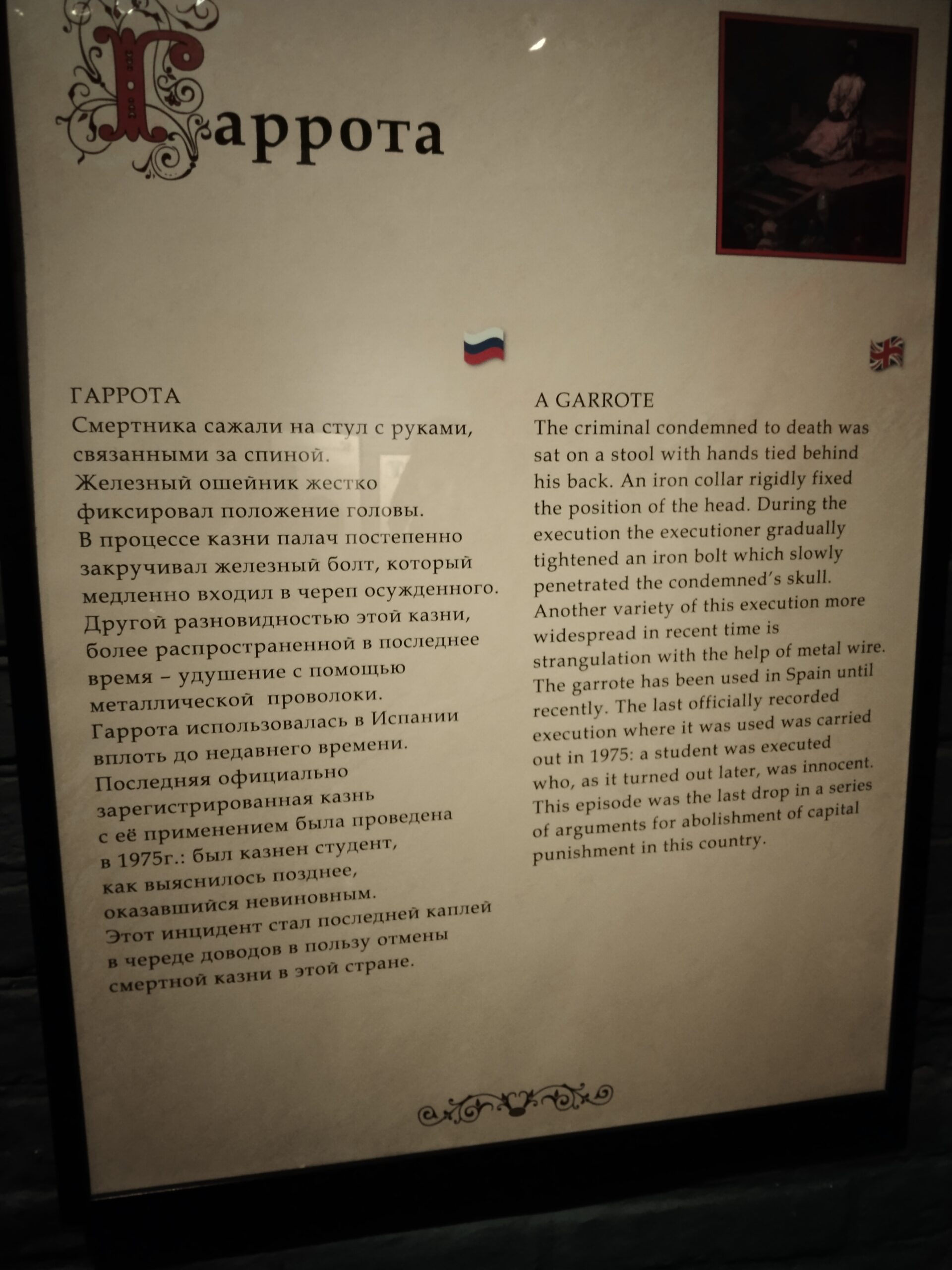 Скачать IMG_20240101_164330 — изображение для товара Скачать IMG_20240101_164330 фото, скачать, для маркетплейса