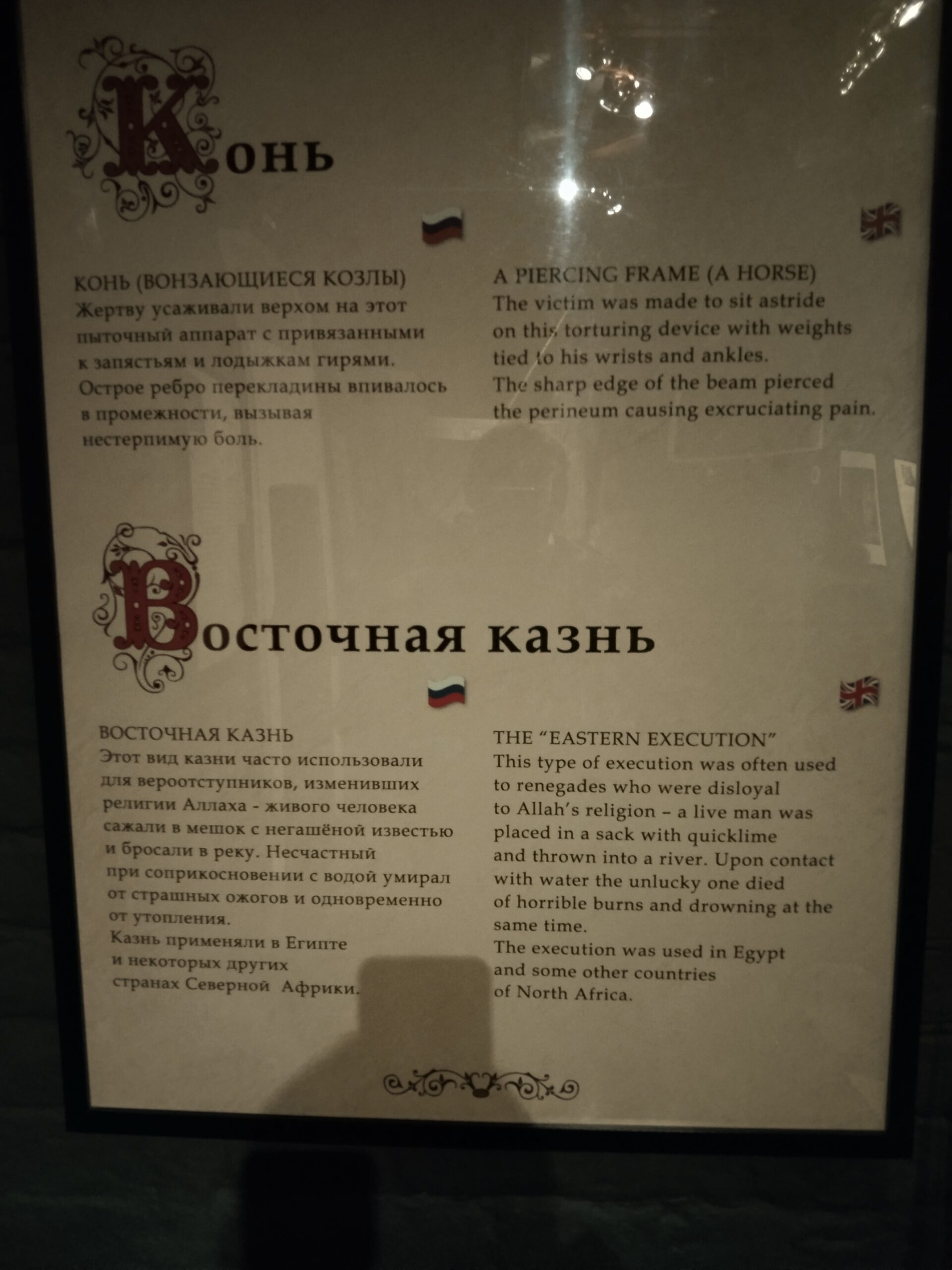Скачать IMG_20240101_164412 — изображение для товара Скачать IMG_20240101_164412 фото, скачать, карточка товара