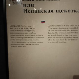Скачать IMG_20240101_164900 — изображение для товара Скачать IMG_20240101_164900 фото, для Wildberries, скачать