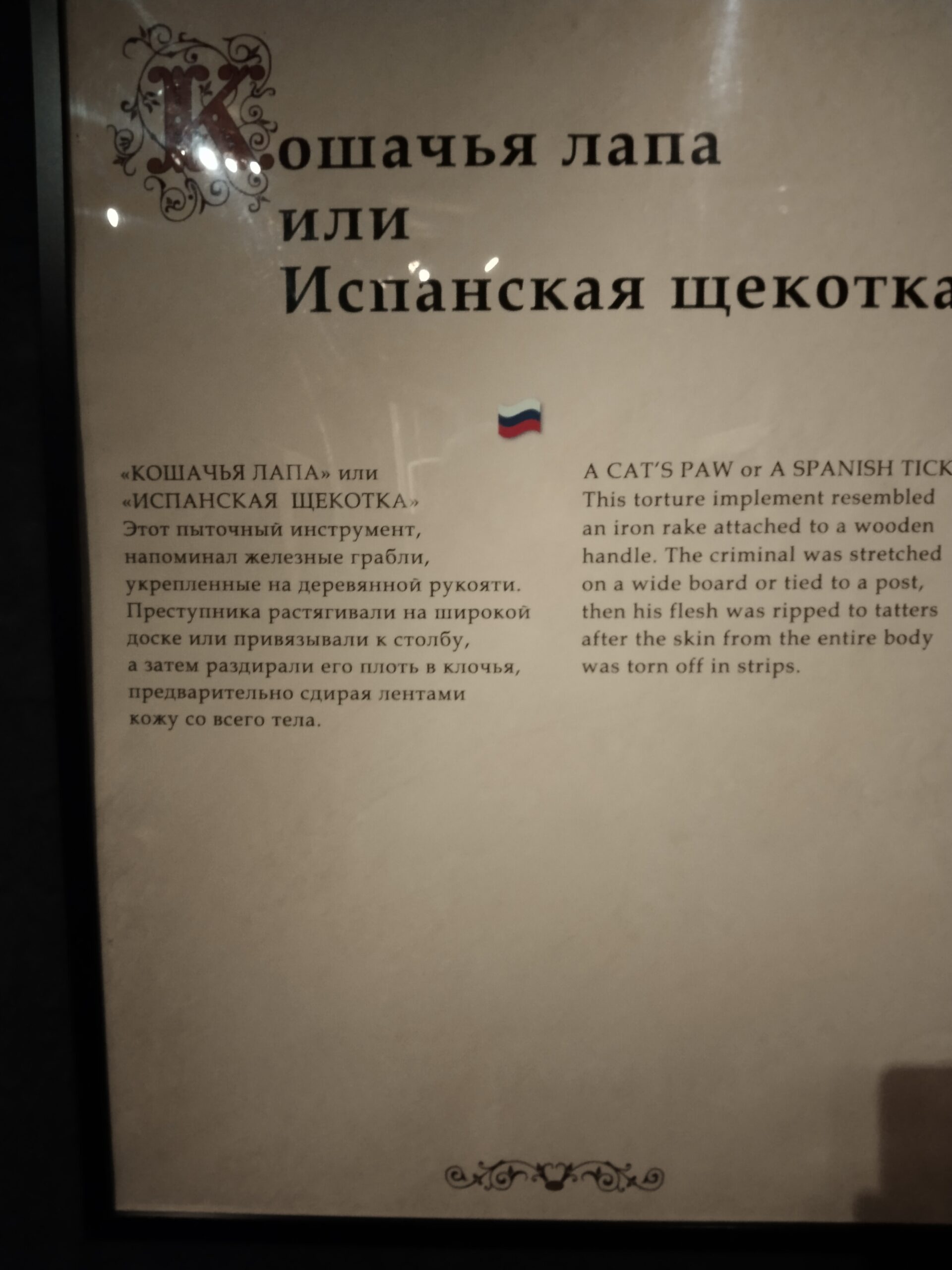 Скачать IMG_20240101_164900 — изображение для товара Скачать IMG_20240101_164900 фото, для Wildberries, скачать