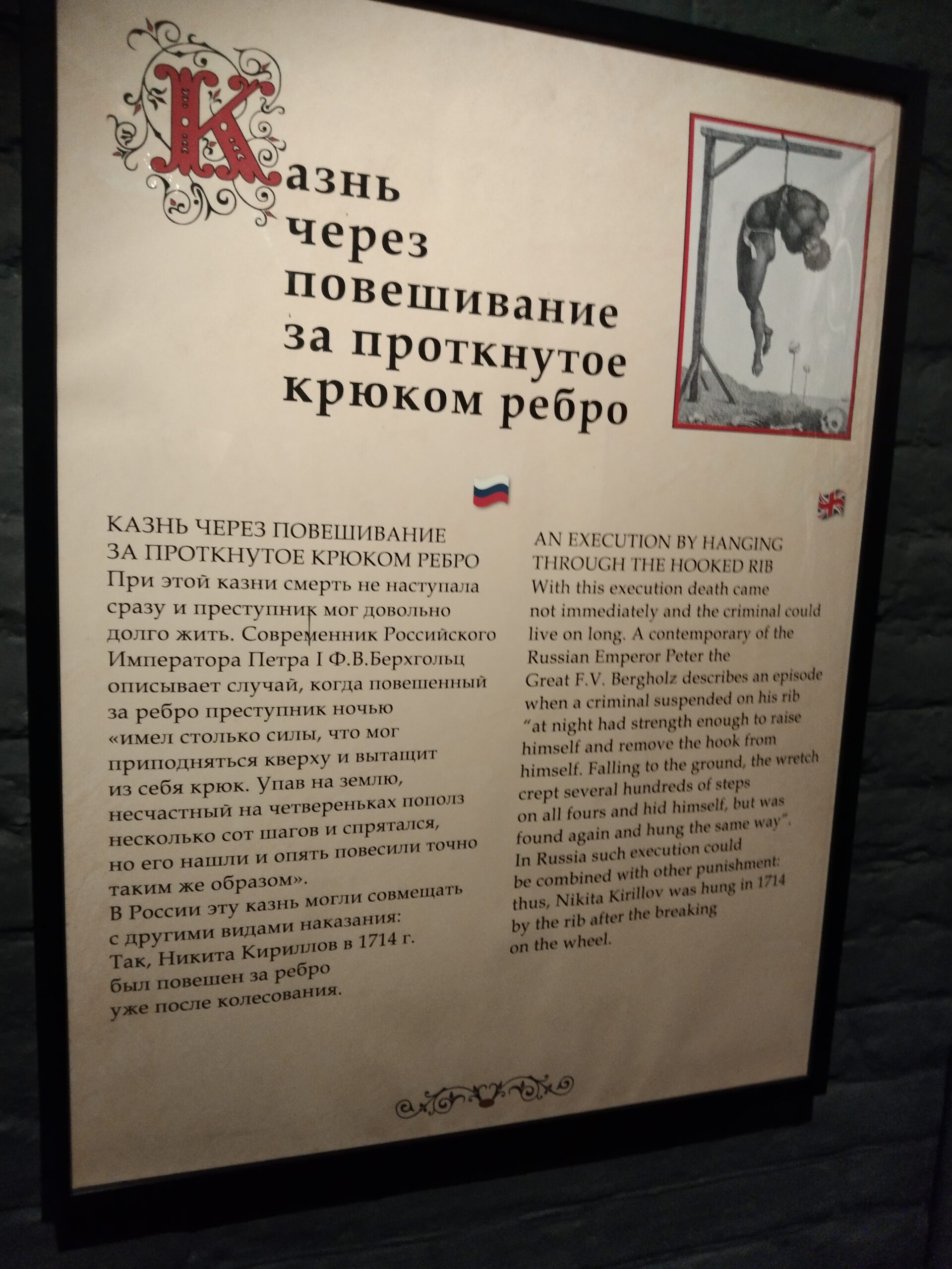 Скачать IMG_20240101_165241 — изображение для товара Скачать IMG_20240101_165241 фото, для Wildberries, скачать